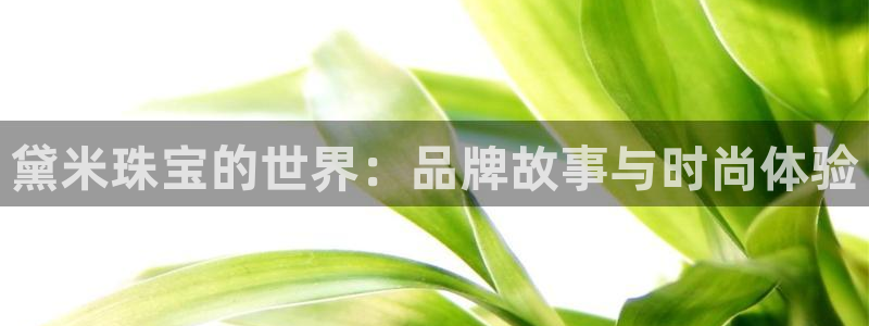 新宝5寻33 300球