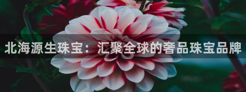 新宝5手机下载：北海源生珠宝：汇聚全球的奢品珠宝品牌