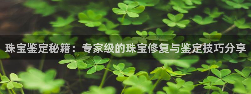 新宝5上70 667：珠宝鉴定秘籍：专家级的珠宝修复与鉴定技巧分享