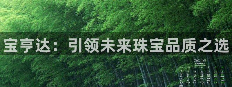新宝5日740005蔻：宝亨达：引领未来珠宝品质之选