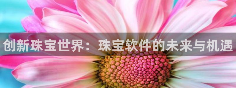 新宝5娱乐如：创新珠宝世界：珠宝软件的未来与机遇