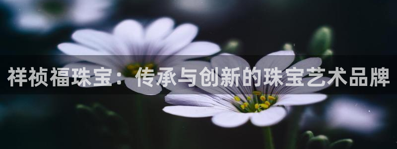 新宝5地址：祥祯福珠宝：传承与创新的珠宝艺术品牌