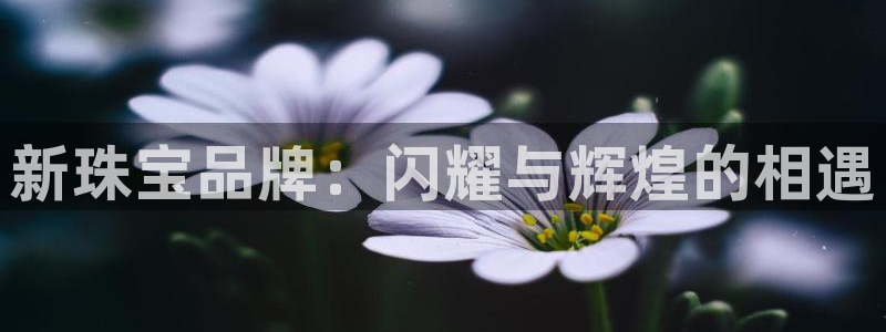 新宝5卫74OOO5：新珠宝品牌：闪耀与辉煌的相遇
