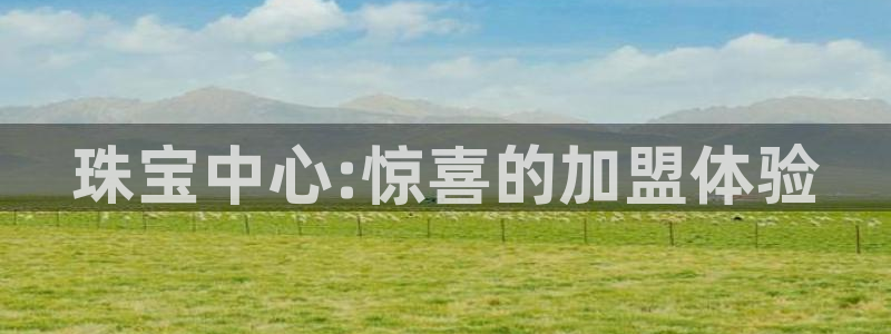 新宝5登录界面：珠宝中心:惊喜的加盟体验