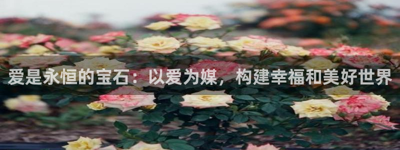 新宝5主管：爱是永恒的宝石：以爱为媒，构建幸福和美好世界