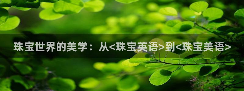 新宝5浗维33 300：珠宝世界的美学：从<珠宝英语>到<珠宝美语>