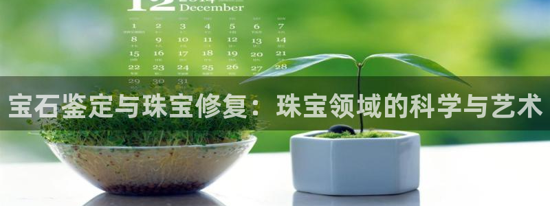 新宝5导师：宝石鉴定与珠宝修复：珠宝领域的科学与艺术