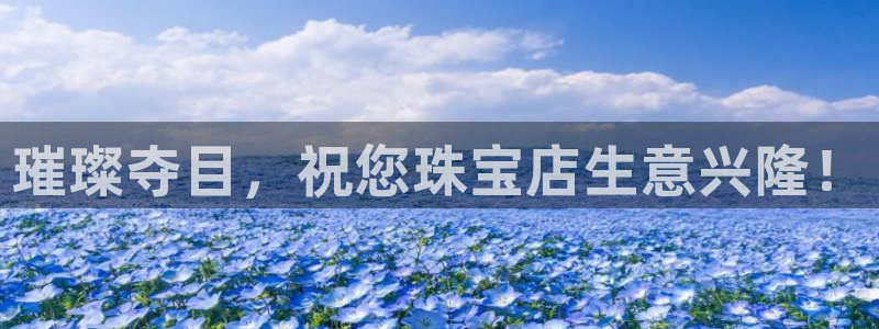 新宝_5：璀璨夺目，祝您珠宝店生意兴隆！