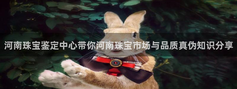 新宝5郑74OOO5：河南珠宝鉴定中心带你河南珠宝市场与品质真伪知识分享