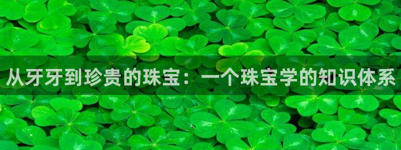 新宝5可靠吗：从牙牙到珍贵的珠宝：一个珠宝学的知识体系