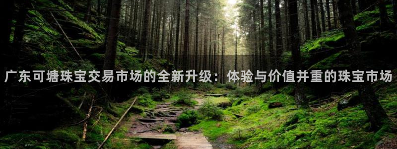 新宝5是什么样子的：广东可塘珠宝交易市场的全新升级：体验与价值并重的珠宝市场