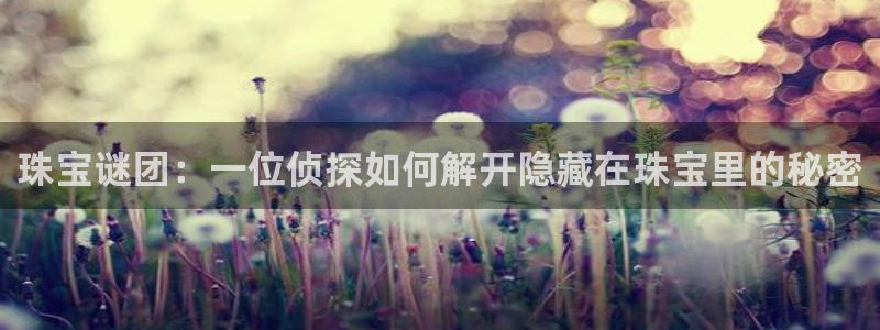 新宝测速5：珠宝谜团：一位侦探如何解开隐藏在珠宝里的秘密