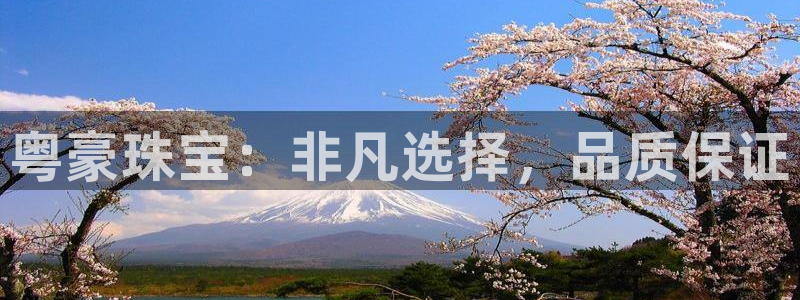 新宝5蒋74OOO5：粤豪珠宝：非凡选择，品质保证