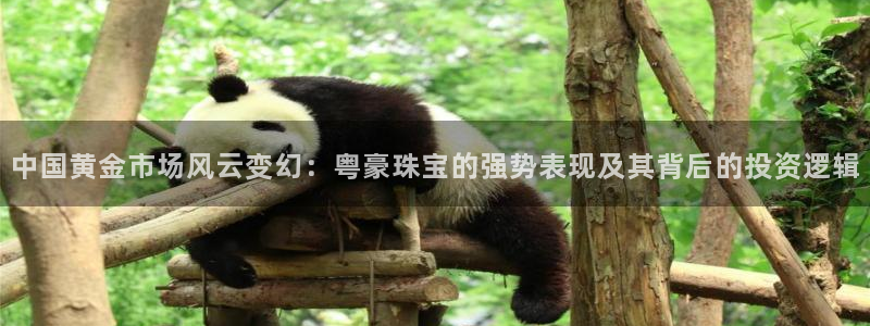 新宝_5：中国黄金市场风云变幻：粤豪珠宝的强势表现及其背后的投资逻辑