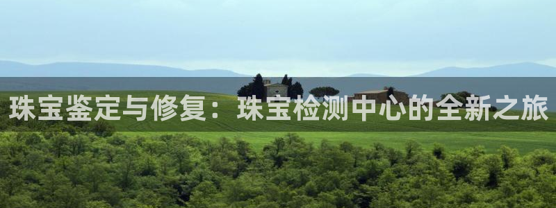 新宝股东王听2 5 5：珠宝鉴定与修复：珠宝检测中心的全新之旅