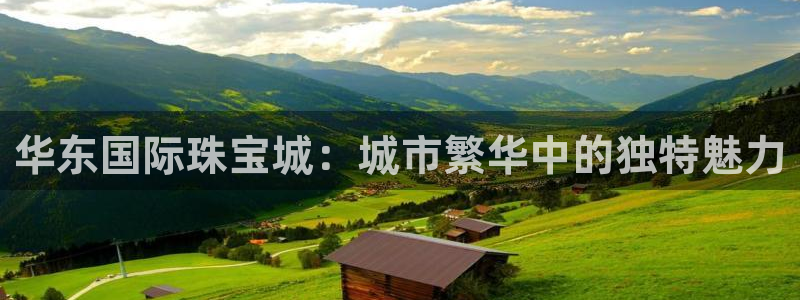 新宝5找找74OOO5：华东国际珠宝城：城市繁华中的独特魅力