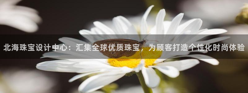 新宝5登录测速中心：北海珠宝设计中心：汇集全球优质珠宝，为顾客打造个性化时尚体验