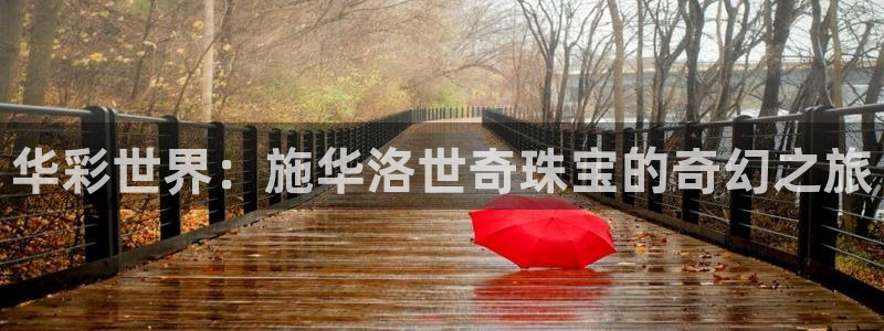 新宝5注册首页：华彩世界：施华洛世奇珠宝的奇幻之旅