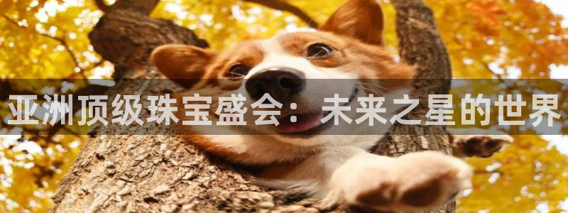 新宝5线路登录：亚洲顶级珠宝盛会：未来之星的世界