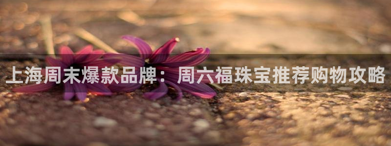 新宝5褚32OO59：上海周末爆款品牌：周六福珠宝推荐购物攻略