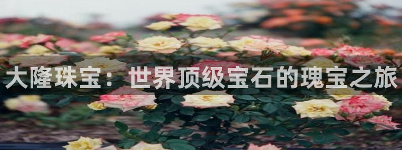 新宝5娱乐都：大隆珠宝：世界顶级宝石的瑰宝之旅