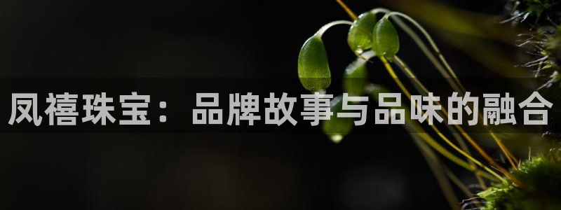 新宝5官方网站：凤禧珠宝：品牌故事与品味的融合