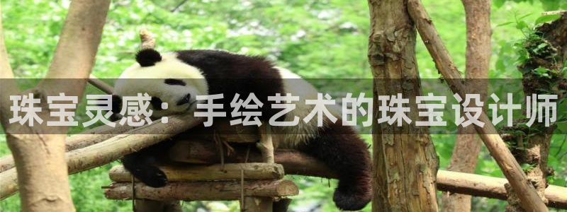 新宝5下载软件：珠宝灵感：手绘艺术的珠宝设计师