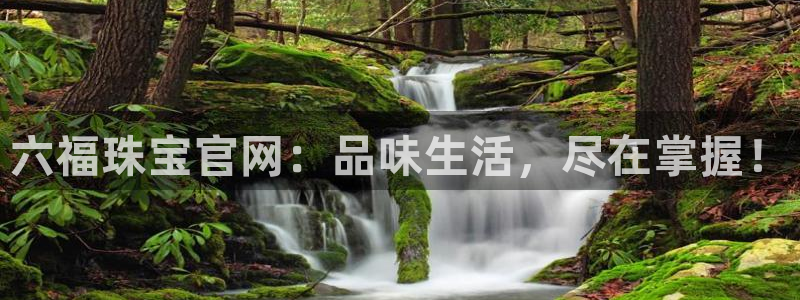 新宝5湫333 00：六福珠宝官网：品味生活，尽在掌握！