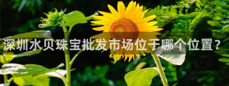 新宝5平台登录下载软件：深圳水贝珠宝批发市场位于哪个位置？
