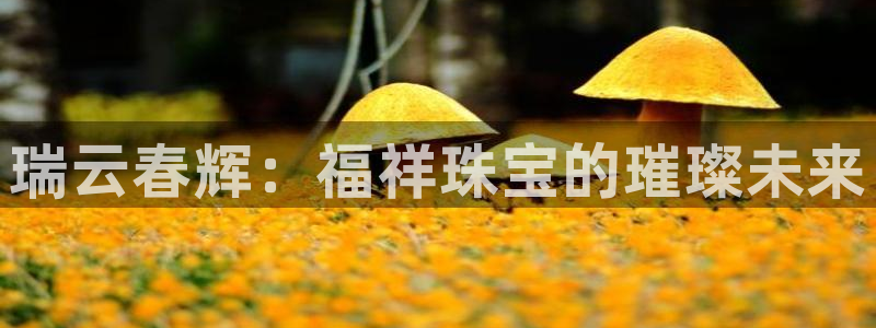 新宝5源码：瑞云春辉：福祥珠宝的璀璨未来