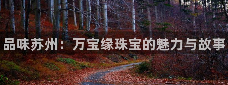 新宝cR一5：品味苏州：万宝缘珠宝的魅力与故事