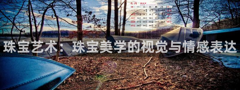 新宝5登录网址：珠宝艺术：珠宝美学的视觉与情感表达