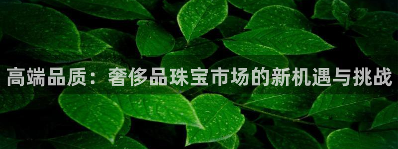 新宝5 测速：高端品质：奢侈品珠宝市场的新机遇与挑战