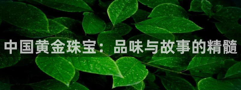 新宝娱乐5：中国黄金珠宝：品味与故事的精髓