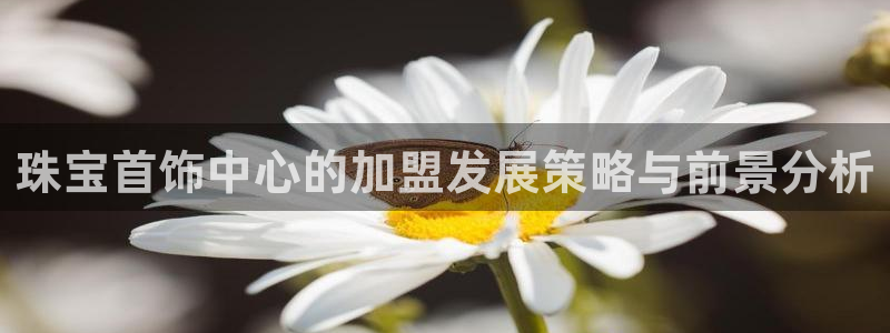 新宝5官网平台：珠宝首饰中心的加盟发展策略与前景分析