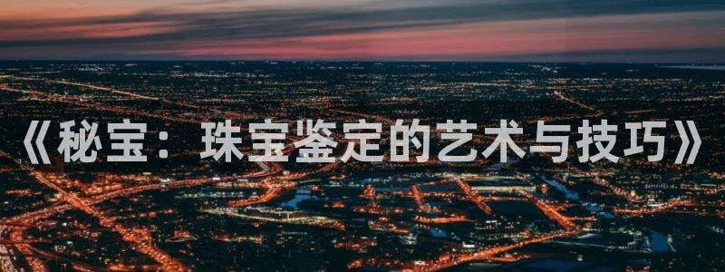 新宝那2O5O5O：《秘宝：珠宝鉴定的艺术与技巧》