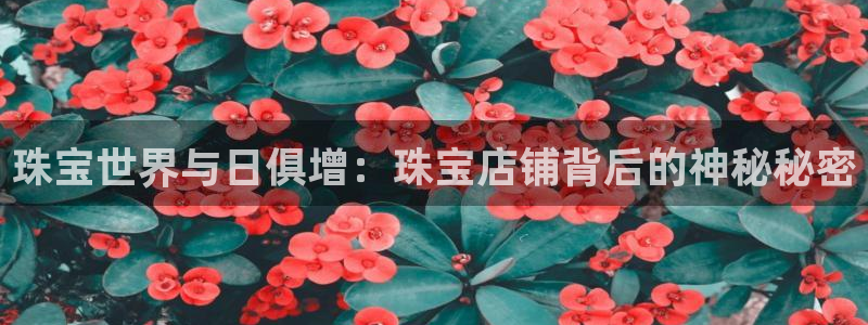 新宝5网：珠宝世界与日俱增：珠宝店铺背后的神秘秘密