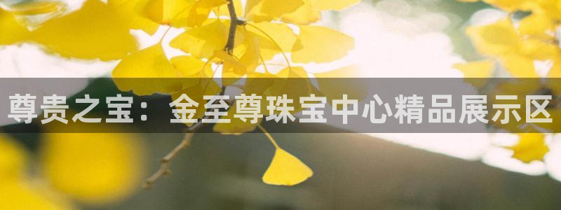 2022新宝骏rs 5：尊贵之宝：金至尊珠宝中心精品展示区