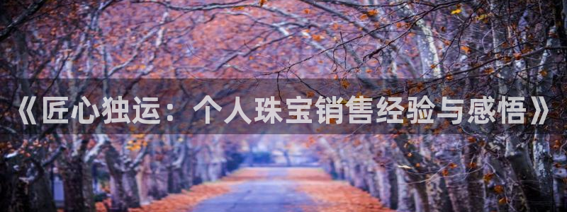 新宝5：《匠心独运：个人珠宝销售经验与感悟》