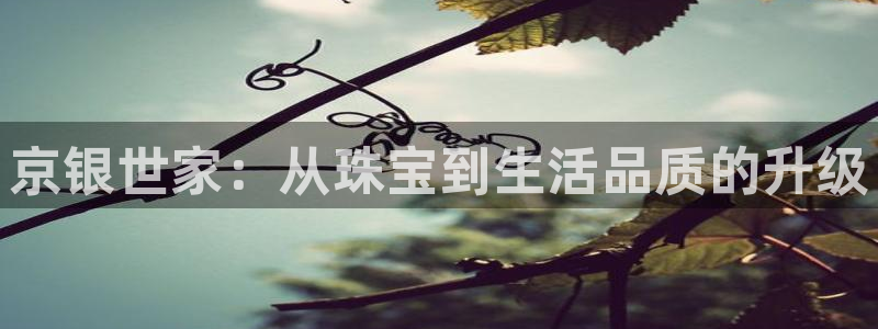 新宝娱乐5入口：京银世家：从珠宝到生活品质的升级