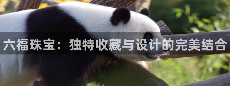 新宝5平台登陆：六福珠宝：独特收藏与设计的完美结合