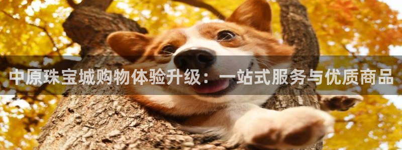 新宝5登录注册：中原珠宝城购物体验升级：一站式服务与优质商品