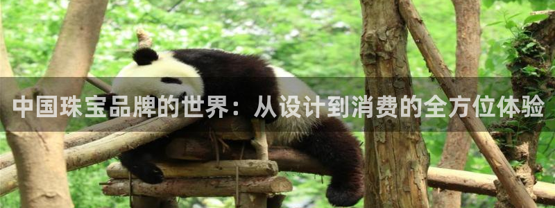 5新宝：中国珠宝品牌的世界：从设计到消费的全方位体验