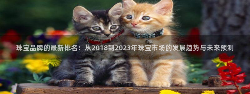 新宝5 注册：珠宝品牌的最新排名：从2018到2023年珠宝市场的发展趋势与未来