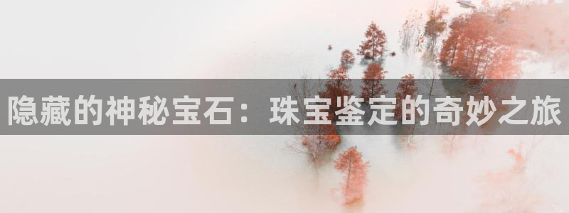 新宝5上来77542：隐藏的神秘宝石：珠宝鉴定的奇妙之旅