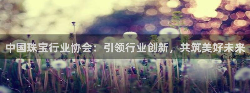 新宝h2O5O5O：中国珠宝行业协会：引领行业创新，共筑美好未来