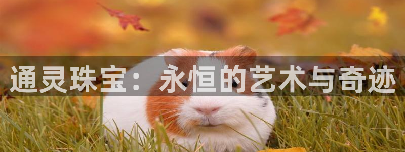 新宝5台卡：通灵珠宝：永恒的艺术与奇迹