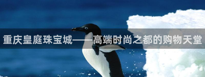 新宝5_测：重庆皇庭珠宝城——高端时尚之都的购物天堂