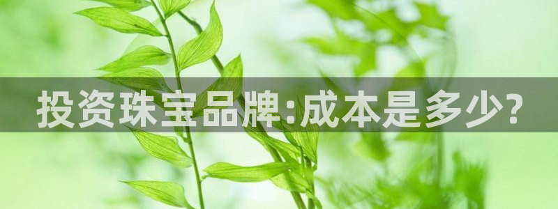 有人知道新宝5么：投资珠宝品牌:成本是多少?