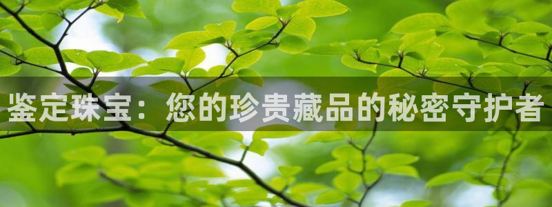 新宝5登录平台：鉴定珠宝：您的珍贵藏品的秘密守护者